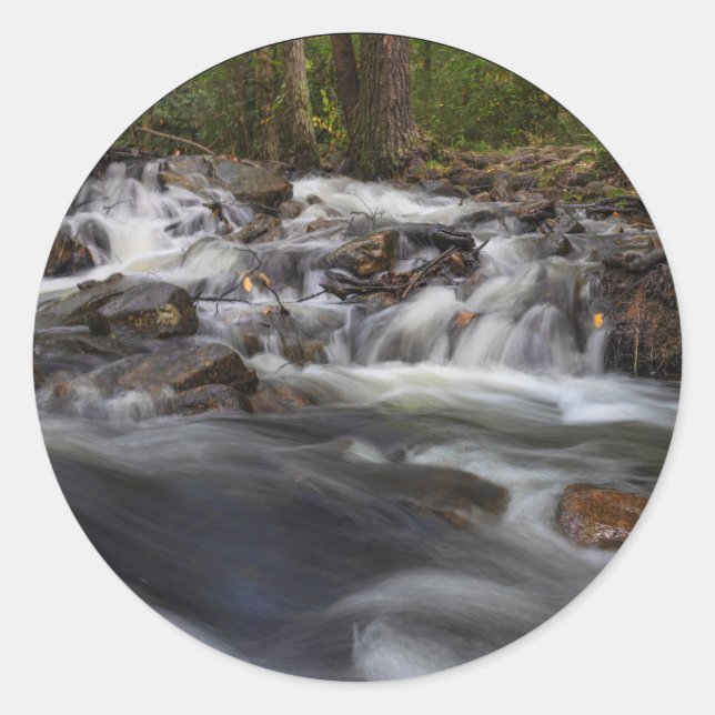 Adesivo Redondo Pequenas quedas na Primavera de areia (Frente)