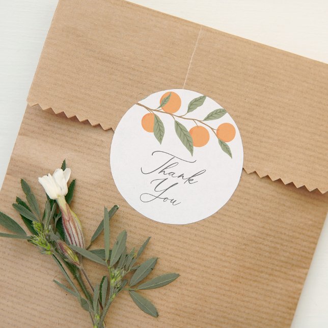 Adesivo Redondo Pequeno Cutie Laranja Citrus Obrigado (Criador carregado)