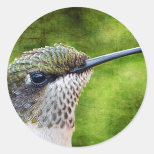 Adesivo Redondo Pequeno Hummer