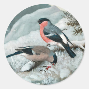 Adesivo Redondo Pequeno pássaro bonito - Bullfinch, Arte