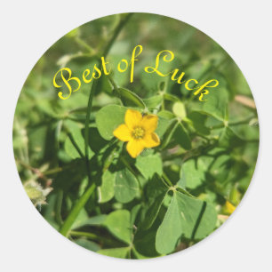 Adesivo Redondo Pequeno pedaço de sorte