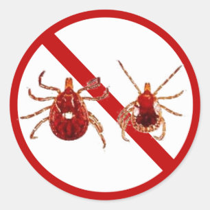 Adesivo Redondo Pequenos adesivos, Tique da Doença de Lyme (Branco