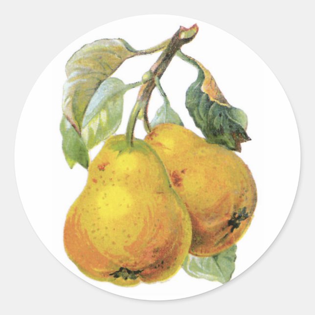 Adesivo Redondo Peras Vintage