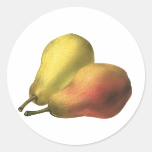 Adesivo Redondo Peras Vintage, Comidas Orgânicas, Frutas De Estrib