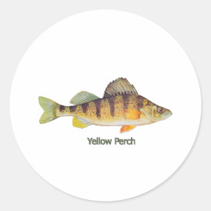Adesivo Redondo Perch Amarelo (com título)