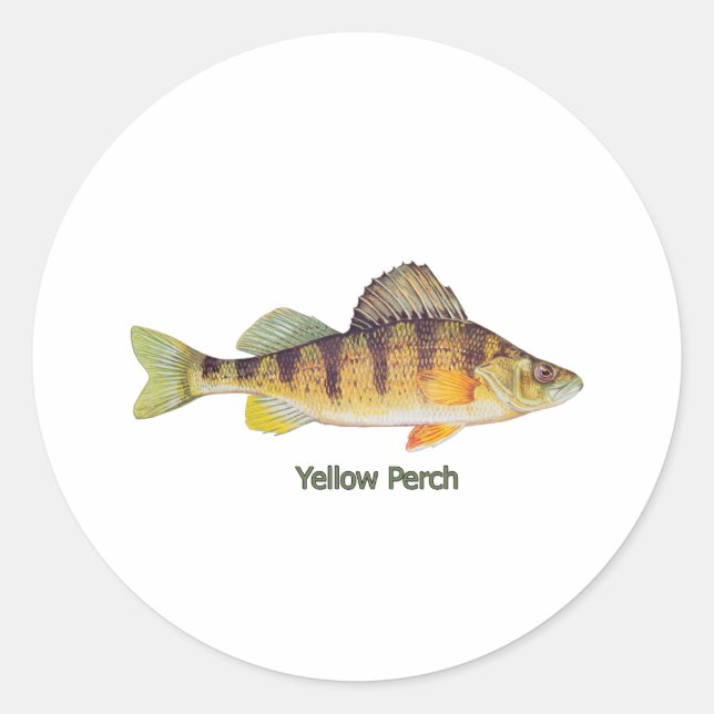 Adesivo Redondo Perch Amarelo (com título) (Frente)