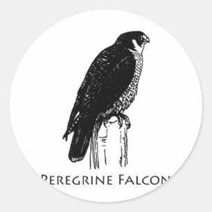 Adesivo Redondo Peregrine Falcon (ilustração)