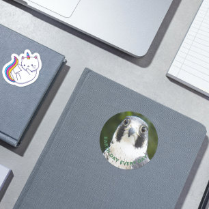 Adesivo Redondo Peregrine Falcon Photo Earth Day