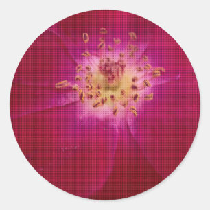 Adesivo Redondo Perfeição Petal: Arte de Padrão Petal Rosa verific