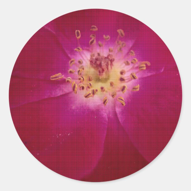 Adesivo Redondo Perfeição Petal: Arte de Padrão Petal Rosa verific (Frente)
