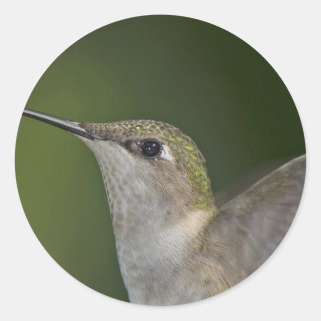 Adesivo Redondo Perfil (Frente)