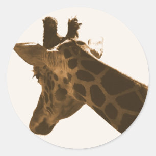 Adesivo Redondo Perfil de Girafa de Reticulação