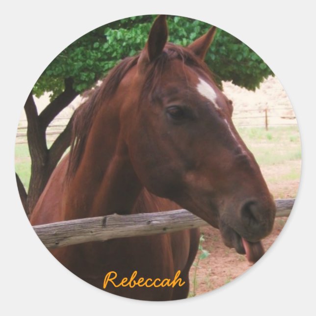Adesivo Redondo Personalizar Cavalo (Frente)