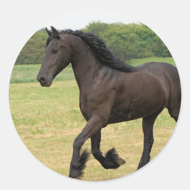 Adesivo Redondo Personalizar produto (Frente)