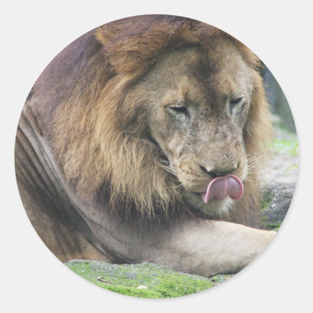 Adesivo Redondo Personalizar produto (Frente)