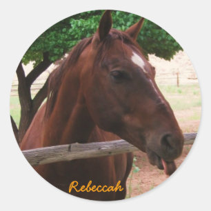 Adesivo Redondo Personalize o cavalo
