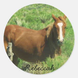 Adesivo Redondo Personalize o cavalo conhecido