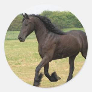 Adesivo Redondo Personalize o produto