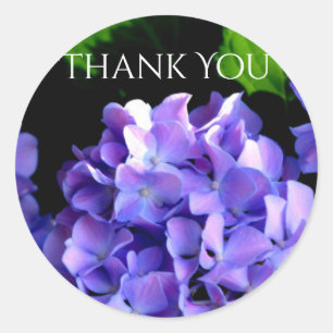 Adesivo Redondo Perwinkle Hydrangeas - obrigado dos autocolantes