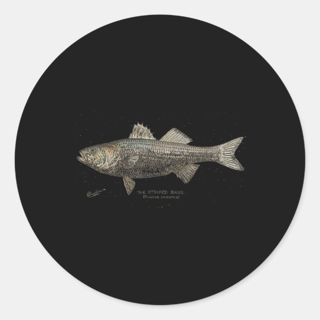 Adesivo Redondo Pesca B Listrada  (Frente)