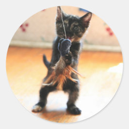 Adesivo Redondo pesca com gatinho