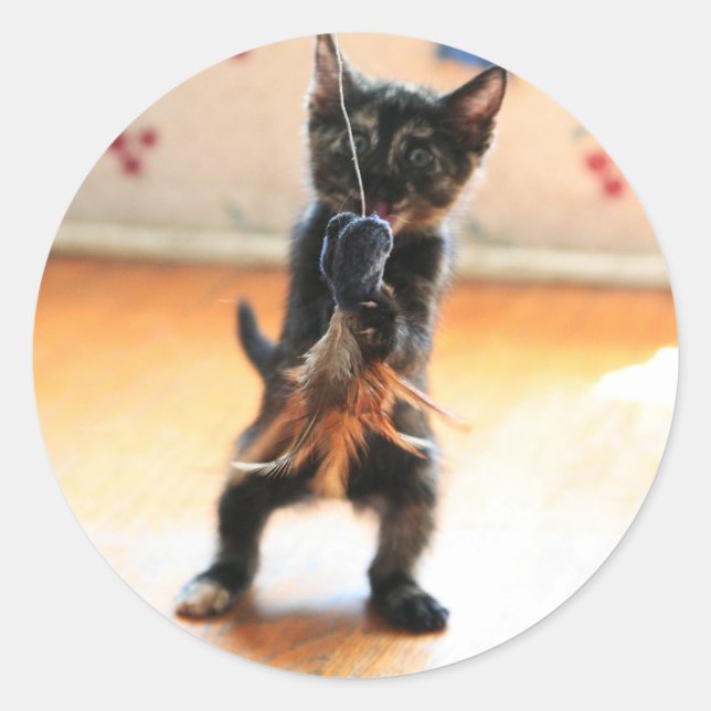 Adesivo Redondo pesca com gatinho (Frente)