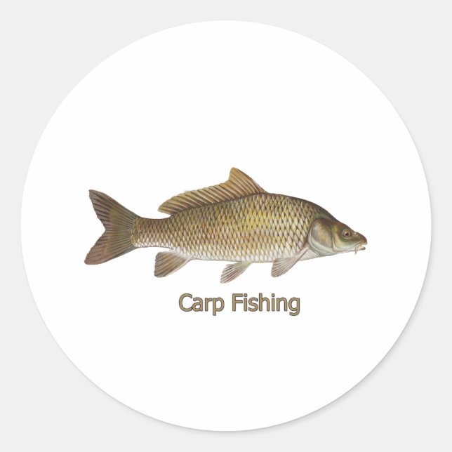 Adesivo Redondo Pesca De Carpas (Frente)