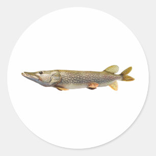 Adesivo Redondo Pesca de Pike Muski