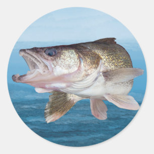 Adesivo Redondo Pesca dos Walleye