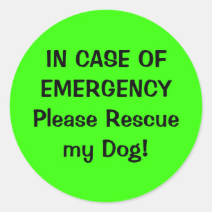 Adesivo Redondo Pet Alert Sticker