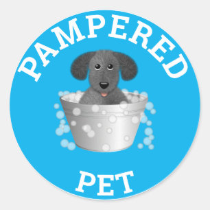 Adesivo Redondo Pet Care Business Stickers
