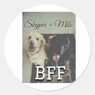 Adesivo Redondo Pet Frities adiciona nome e foto animal amor