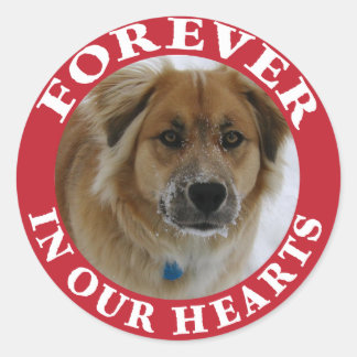 Adesivo Redondo Pet Memorial Forever Holiday Red