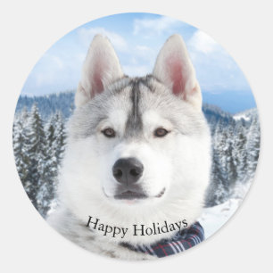 Adesivo Redondo Pet Photo Happy Holidays Sticker