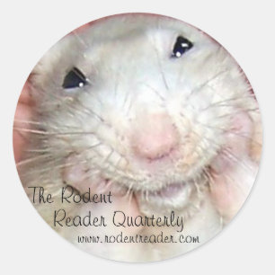 Adesivo Redondo Pet Rat Bridget Sticker B