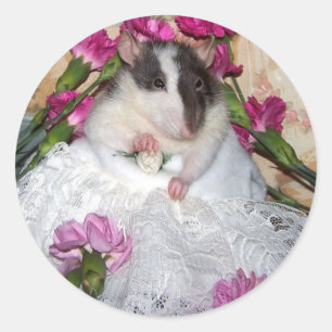 Adesivo Redondo Pet Rat Noiva de Trudy Stickers