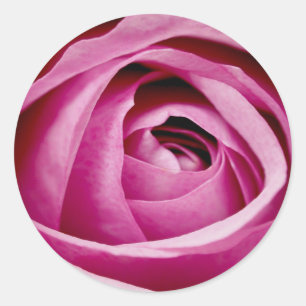 Adesivo Redondo Petais internas da Rosa Bud