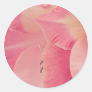 Adesivo Redondo Pétalas de Gladiola