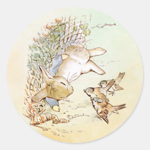 Adesivo Redondo Peter Rabbit com Aves