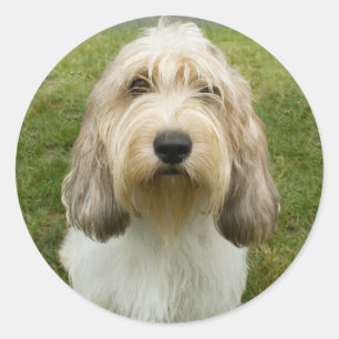 Adesivo Redondo Petit Basette Griffon Vendeen