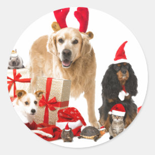 ADESIVO REDONDO PETS DE NATAL