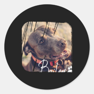 Adesivo Redondo Pets Moderno Simples Nome e Foto Cool Nge