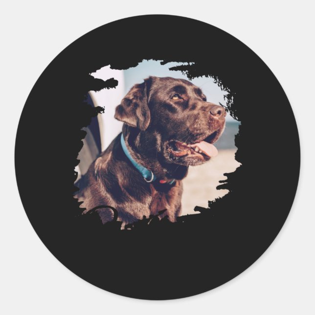 Adesivo Redondo Pets Simple Modern Cool Tygraphy Name And Photo  (Frente)