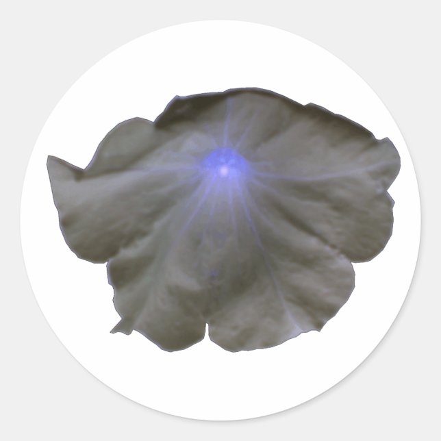 Adesivo Redondo Petunia, Black e Blue Stickers (Frente)