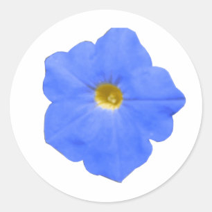 Adesivo Redondo Petunia Blue e Yellow Sticker