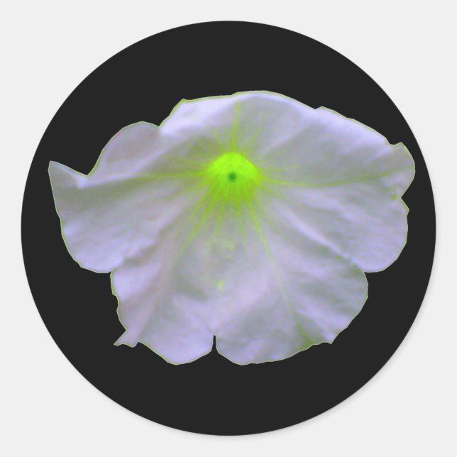 Adesivo Redondo Petunia Green Glow Stickers (Frente)