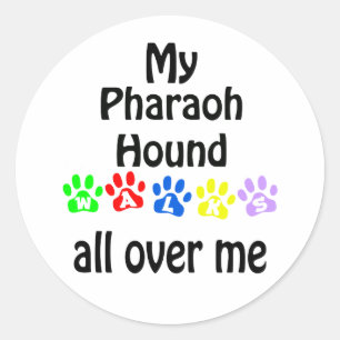 Adesivo Redondo Pharaoh Hound Walks Design