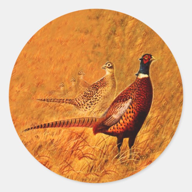 Adesivo Redondo Pheasant Bird Nature Selvagens (Frente)