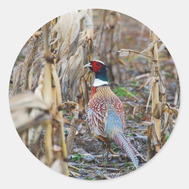 Adesivo Redondo Pheasant Sticker (Frente)