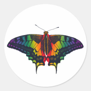 Adesivo Redondo Philadelphia Rainbow Prim Flag Swallowtail